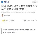 중국 칭다오 맥주공장서 원료에 오줌 누는 영상 공개돼 '발칵' 이미지