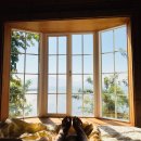 바람꽃펜션 이미지