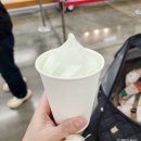 코스트코 푸드코트 신상 멜론 소프트 아이스크림 더블 초콜렛 청크쿠키 후기