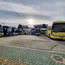 일지매 여행사 이미지