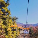 이강산숯불닭갈비 이미지