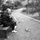 하나노인전문병원 이미지