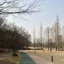 구갈레스피아 게이트볼장 이미지