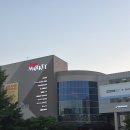 엠메디칼약국 | 월계이마트 리뉴얼 '스타필드 마켓' 방문후기 (토이킹덤, 무인양품 오픈일,BYD, 무료 캐비닛 꿀팁)