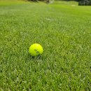 우리골프장 이미지