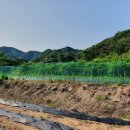 미현리농장 이미지