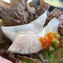 회뜨는바다 네이버블로그