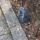 황소왕만두 | 데이미언허스트 : 진실은 없어 결국에 넌 변했지 이유도 없어 진심도 없어
