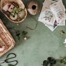 컴퓨터기본 이미지