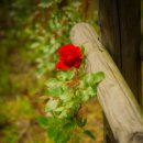 까치울역 3번 출구 이미지