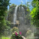 낙수농장 | 치앙라이 가볼만한 곳 라리타 Lalitta Café 아바타 카페 정원 폭포 방문 후기