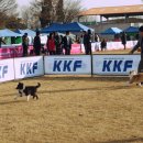 아이즈 오브 엔젤 이미지