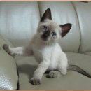 군인공제회관 이미지