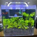 부천로103번길 이미지