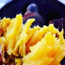 삼시한끼고구마 이미지