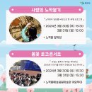 들에봄꽃집
