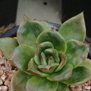 금종농장 이미지