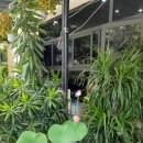 다빈 중화요리 이미지