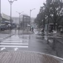 천지인 행정사 사무소 이미지