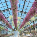 송악관광로 이미지