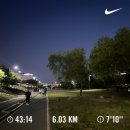 꼬리치랑개 | 2024, 6월(1) 열심히 달리는데 살이 쪄요 ( ˃̵⌓˂̵)