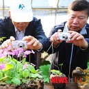 김영자농장 이미지