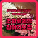 울산광역시농업기술센터 | 퇴직 후 새로운 배움 "초화류실습, 울산시농업기술센터"