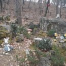 미림주유소 이미지