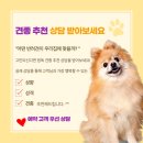 원독 네이버블로그