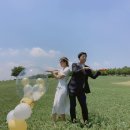 아그로엘 스튜디오