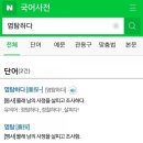 속눈썹쟁이