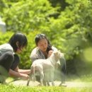 달성민박 이미지