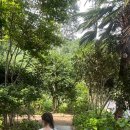 창포가든 | 통영 오션뷰 카페 애견동반가능 카페 가든 포토스팟카페 "아르세"