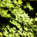 전등사매표소(동문) 이미지