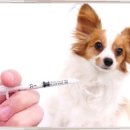 금촌종합동물병원 이미지