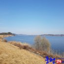 양화면행정복지센터 이미지