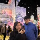 바이오랩 | [일본 오사카/교토 여행] 교토 팀랩 바이오보텍스 미디어 아트 전시 후기