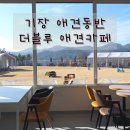 부산 기장 애견동반카페 더블루 애견카페 솔직후기