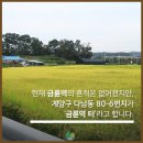 금륜 정보통신