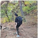 천지궁 | 은평구점집 인생의 나침반을 찾아서: 천지궁 별상아씨 후기