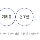 디에스투