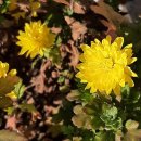 노원역부동산공인중개사사무소 이미지