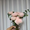 MAY 2026 l 여행가고 놀고 보고 먹고