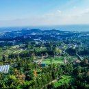 장동펜션 이미지