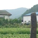 오성다도명가연