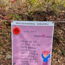 김말남 | 도전하는 내가 좋다 (11월 66챌 1일 1포 후기)