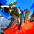 팔딱팔딱 이미지