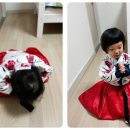 별해달 이미지