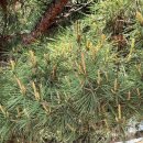 중원초등학교 이미지