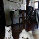 김지영복싱GYM 이미지